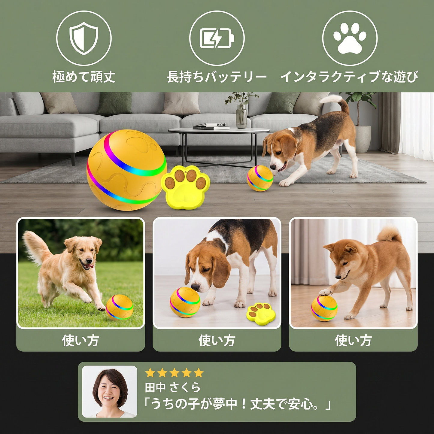 ロバストで耐久性のあるセルフローリングドッグトイボール