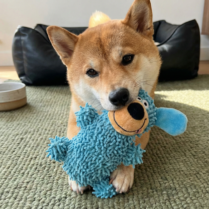 犬用カラーのくすぐるデンタルおもちゃ