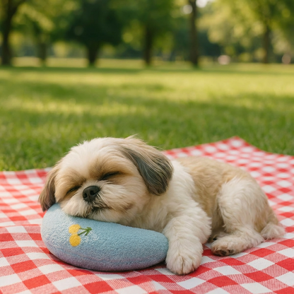 犬用エルゴノミックサポートクッション 健康的な姿勢のために