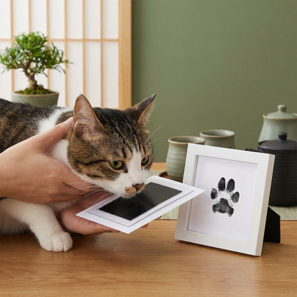 ペットの足形・鼻形記念キット – 猫用DIYメモリアルセット