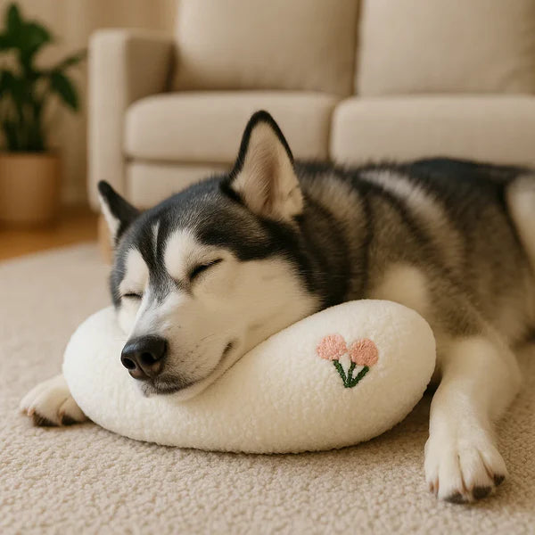 犬用エルゴノミックサポートクッション 健康的な姿勢のために