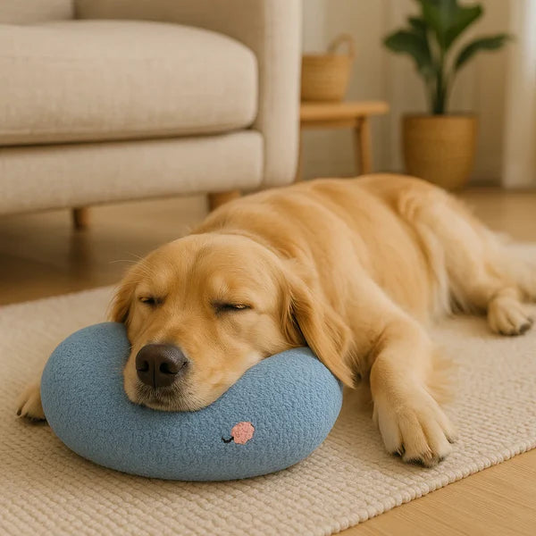 犬用エルゴノミックサポートクッション 健康的な姿勢のために