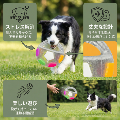 犬用 ストレス解消のための丈夫なおもちゃボール