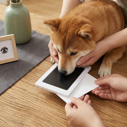 ペットの足形・鼻形記念キット – 犬用DIYメモリアルセット