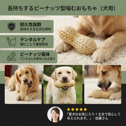 長持ちするピーナッツ型噛むおもちゃ（犬用）