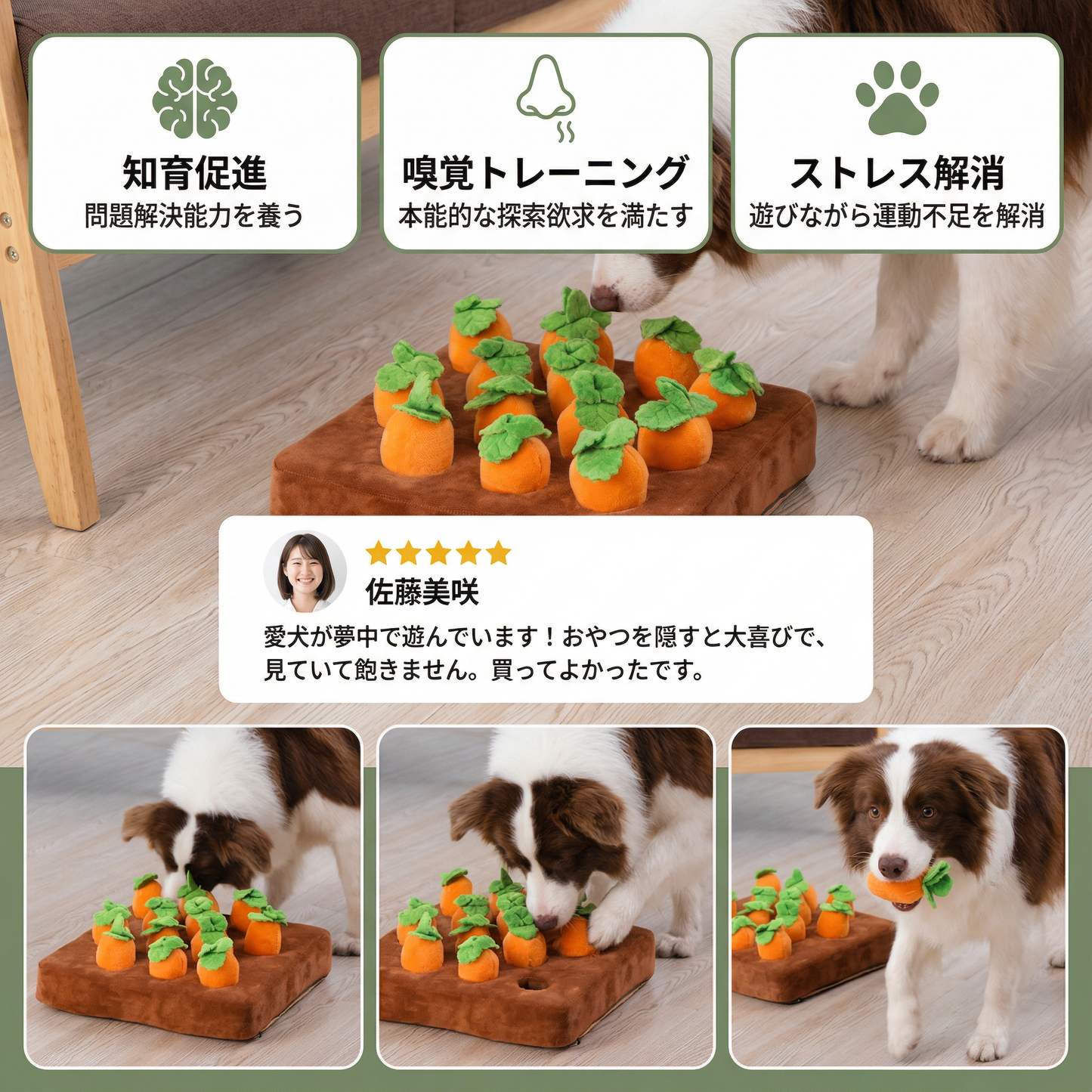 カロットファーム - インタラクティブな嗅覚おもちゃ