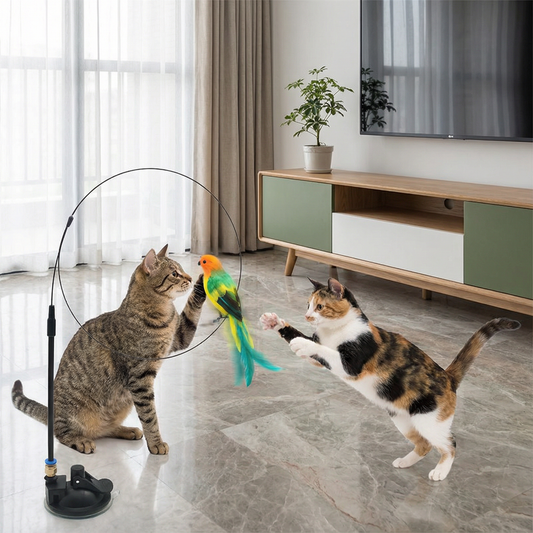 鳥のおもちゃ - インタラクティブな猫用おもちゃ