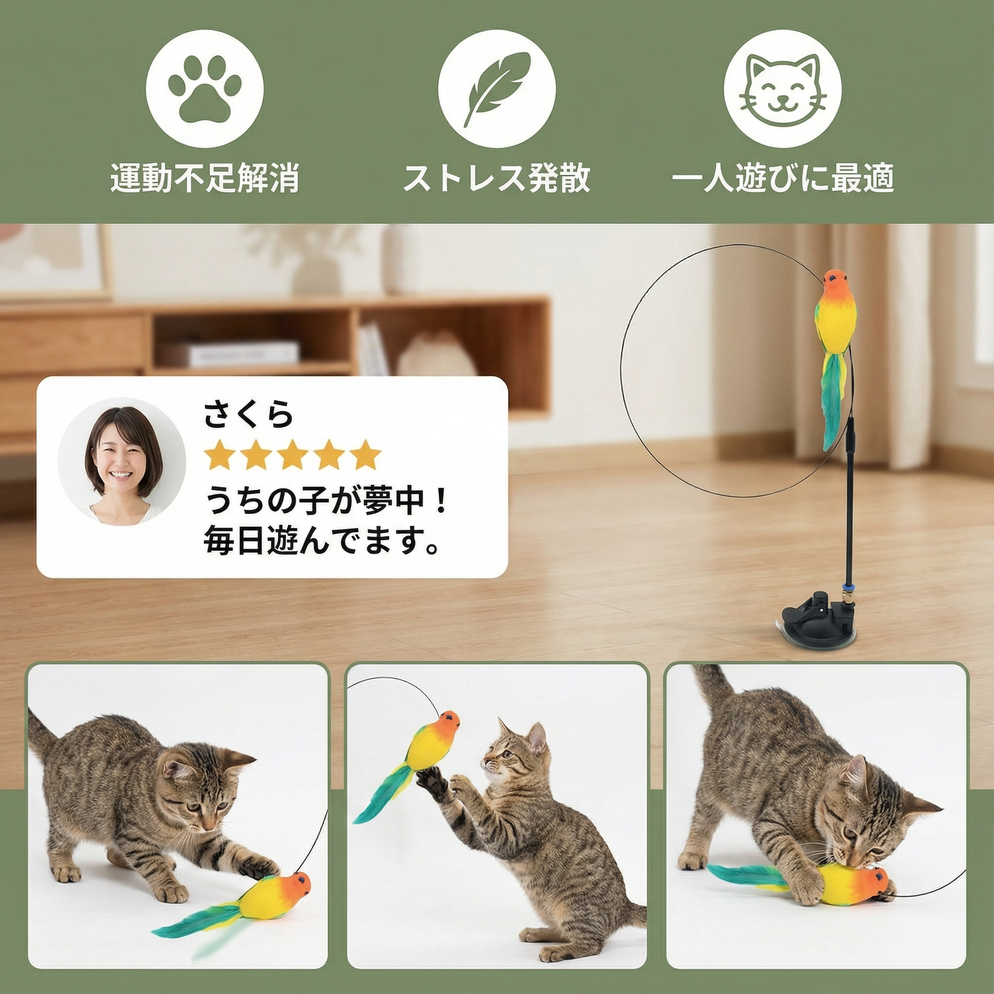 鳥のおもちゃ - インタラクティブな猫用おもちゃ