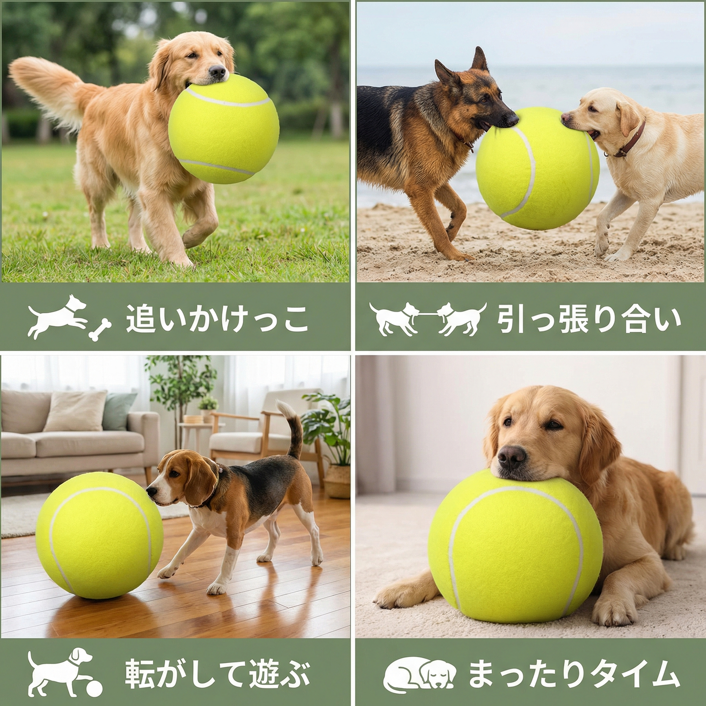 頑丈な大きなテニスボール 犬用おもちゃ