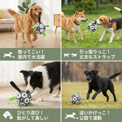 頑丈な犬用遊びボール 引っ張り用ハンドル付き