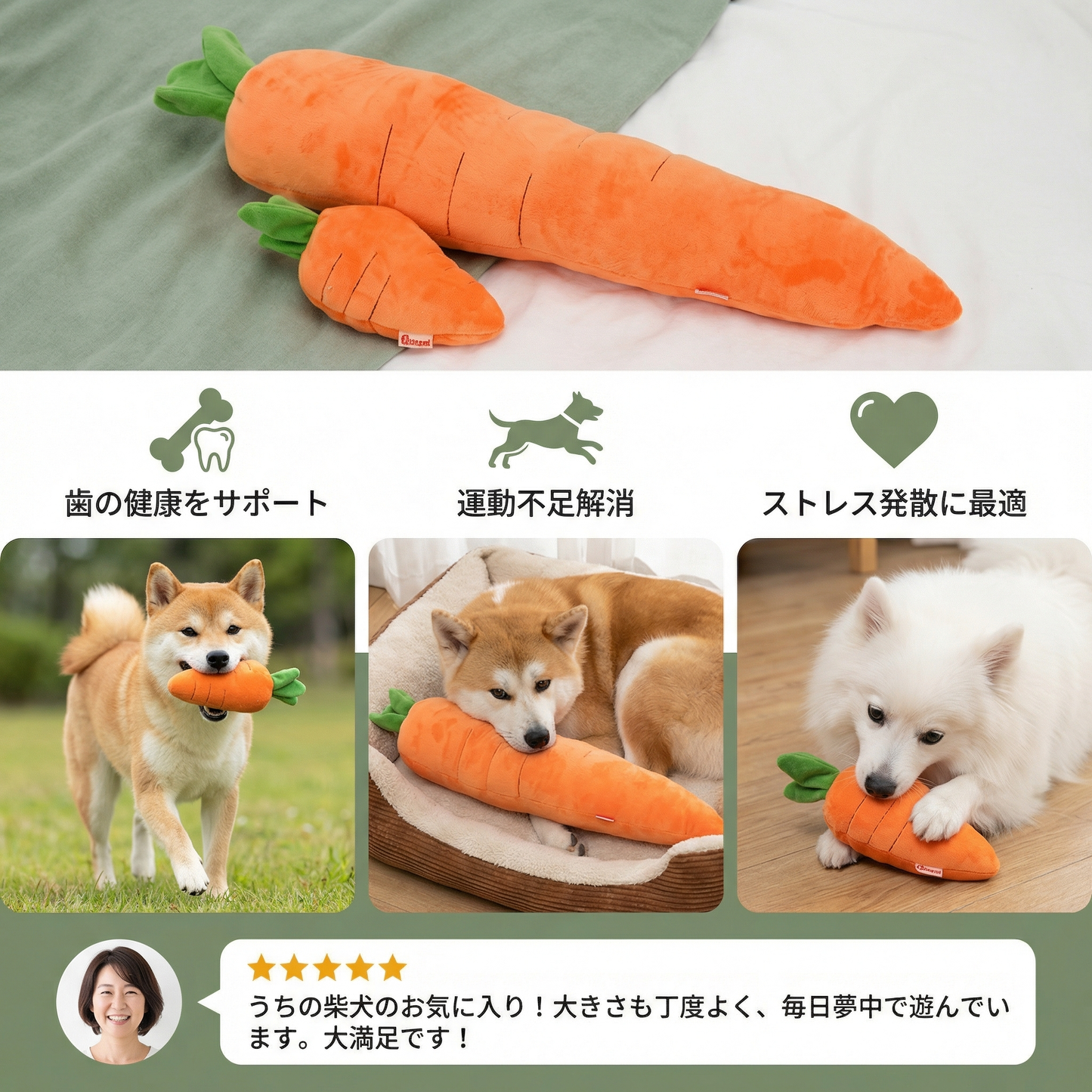 ストレス解消と遊びのための鳴るニンジン 犬用おもちゃ
