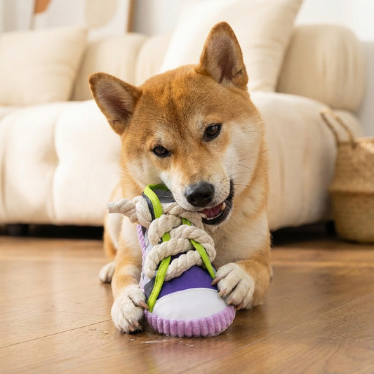 スイーキー スリッパと丈夫なコットンロープ – 犬の歯のケアと楽しさ