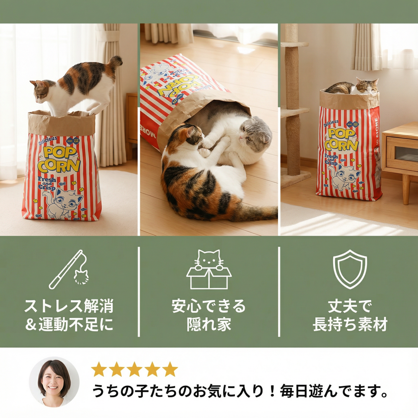 猫の寝床＆遊び用ダンボール ポップコーンバッグ