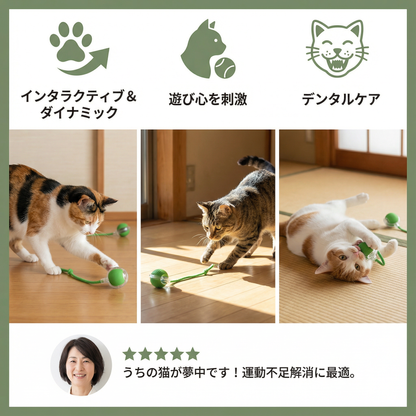 猫用 尻尾付きインタラクティブボール