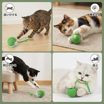 猫用 尻尾付きインタラクティブボール