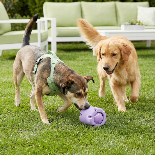 テニスローラー