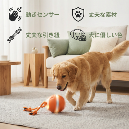 動きセンサー付き丈夫な犬用ボールと犬用カラーの引き紐