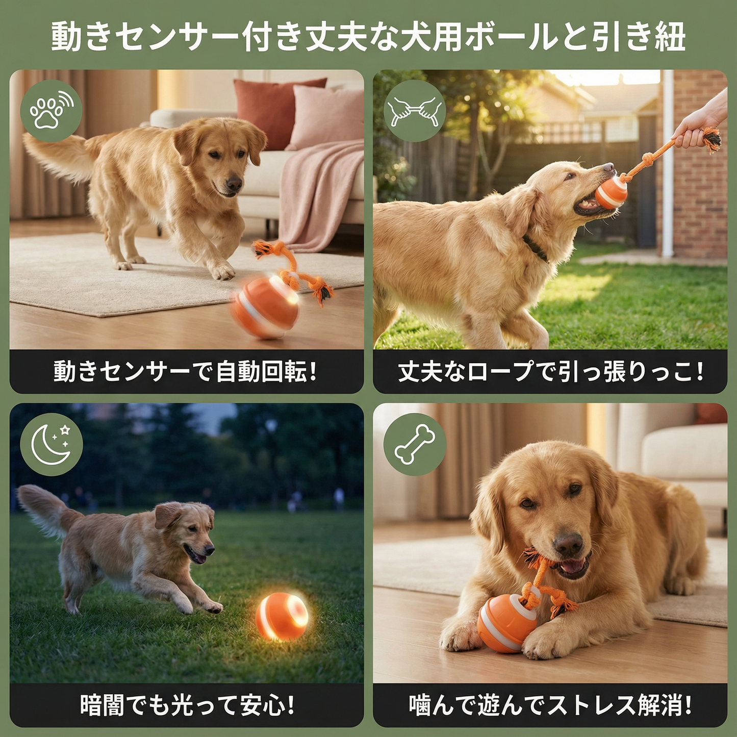 動きセンサー付き丈夫な犬用ボールと犬用カラーの引き紐