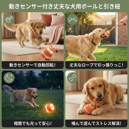 動きセンサー付き丈夫な犬用ボールと犬用カラーの引き紐